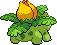 Animated Back