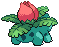 Animated Back