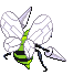 Animated Back