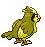 Animated Back