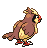 Animated Back