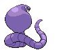 Animated Back