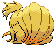 Animated Back