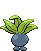 Animated Back
