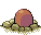 Animated Back