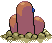 Animated Back