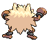 Animated Back