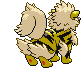 Animated Back