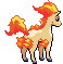 Animated Back