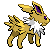 Animated Back