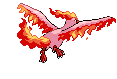Animated Back