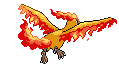 Animated Back