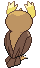 Animated Back