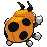Animated Back