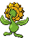 Animated Back