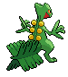Animated Back