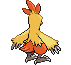Animated Back