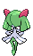 Animated Back