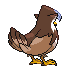 Animated Back