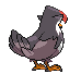 Animated Back