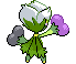 Animated Back