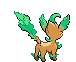 Animated Back