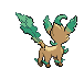Animated Back