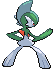 Animated Back