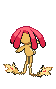 Animated Back