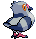 Animated Back