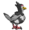 Animated Back