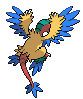Animated Back