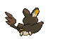 Animated Back