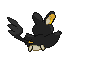 Animated Back