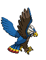 Animated Back