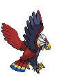 Animated Back