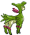 Animated Back