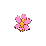 Back Sprite