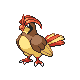 Pidgeotto (pidgeotto) game sprite