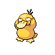 Psyduck (psyduck) game sprite