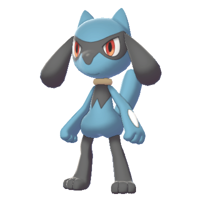 Riolu | RotomLabs Sword & Shield Pokédex