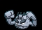 Geodude Alolan (geodude) game sprite