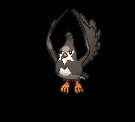 Staravia (staravia) game sprite