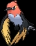 Fletchinder (fletchinder) game sprite