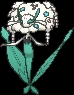 Florges White Flower (florges) game sprite