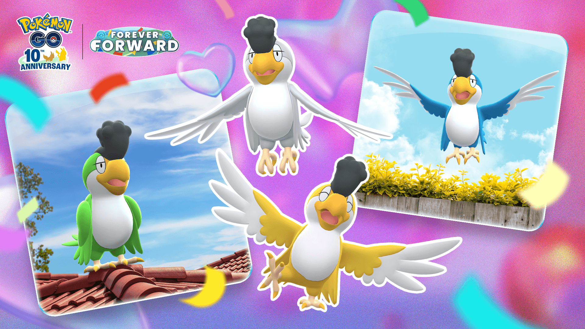 Green Plumage, White Plumage, Yellow Plumage, and Blue Plumage Squawkabilly appearing in Pokemon GO