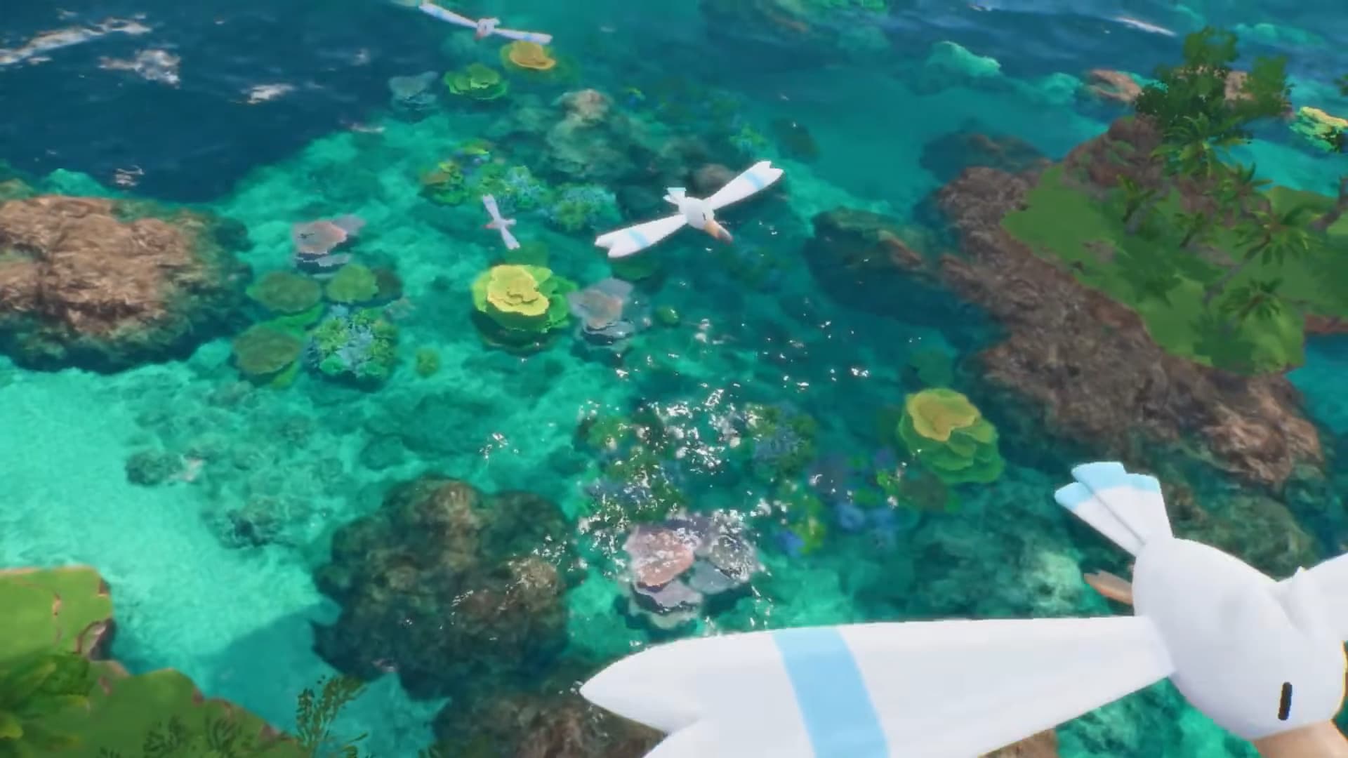 Beautiful water with wingulls