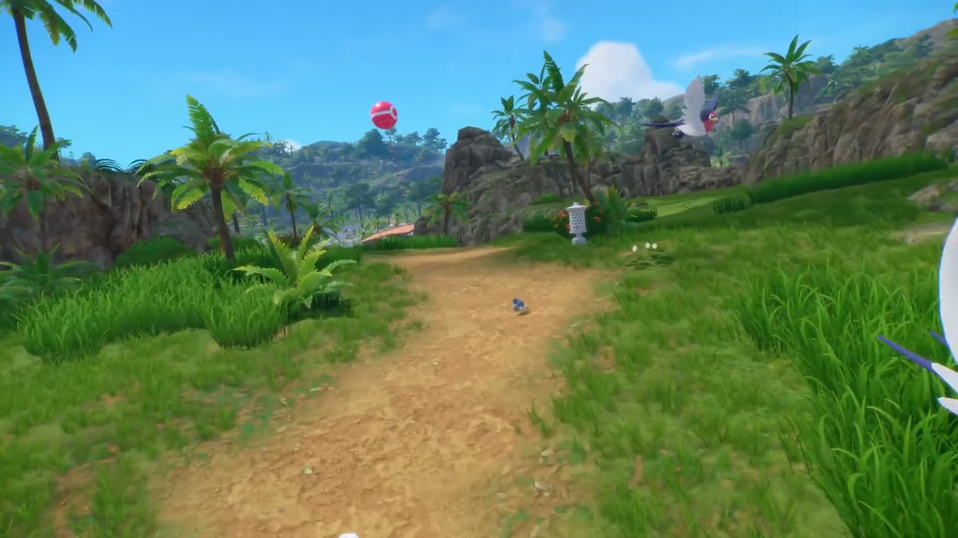 A path with some grass