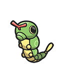 Caterpie