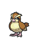 Pidgey